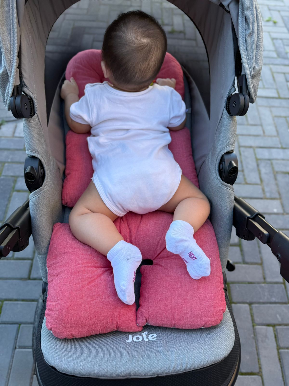 Фото клиента Moloko&Kid 03